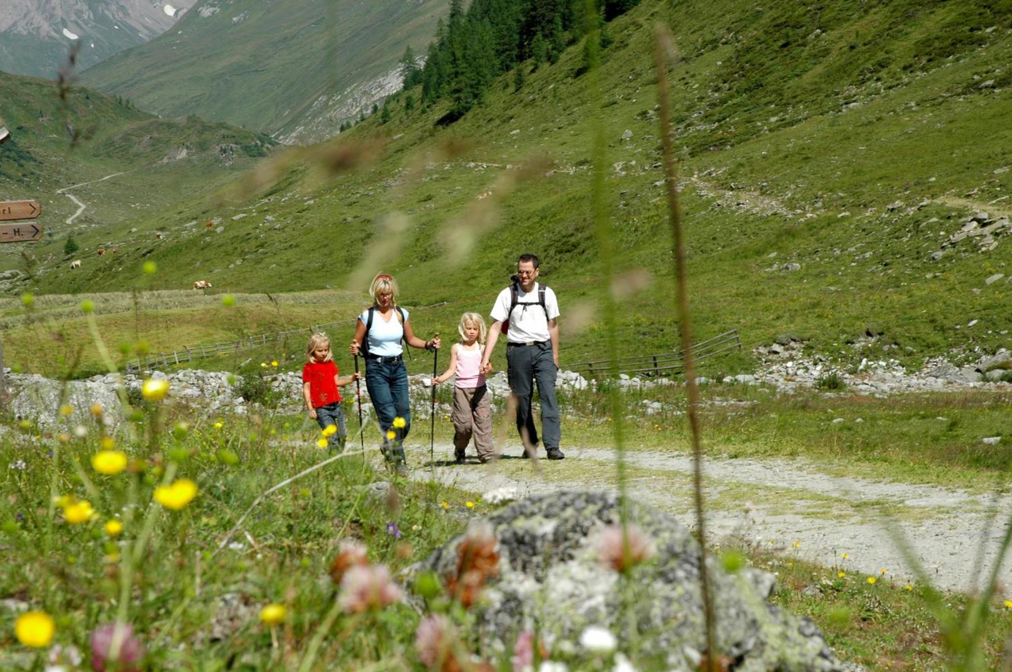 Alpengasthof Pichler Sankt Veit in Defereggen ภายนอก รูปภาพ