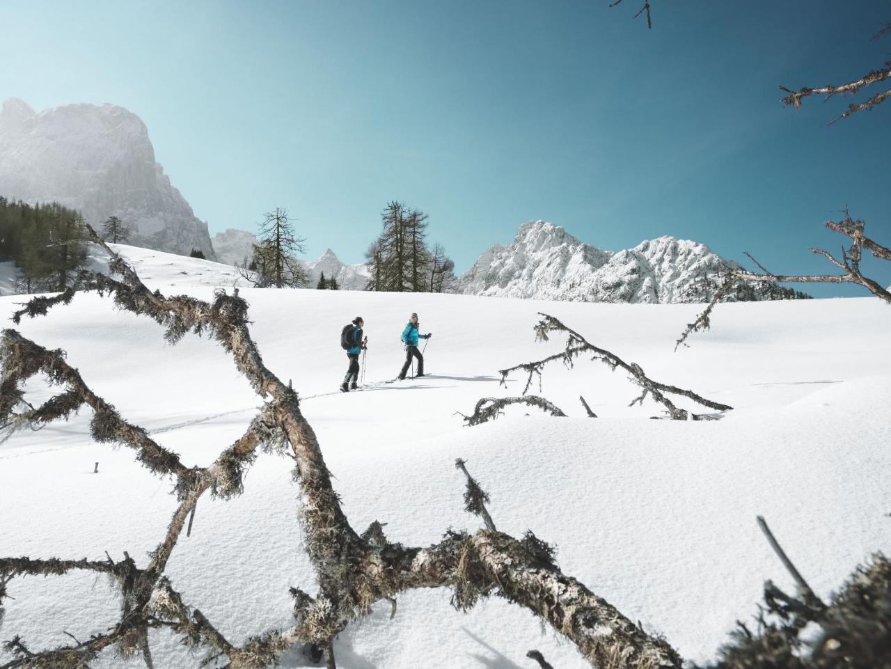 Alpengasthof Pichler Sankt Veit in Defereggen ภายนอก รูปภาพ
